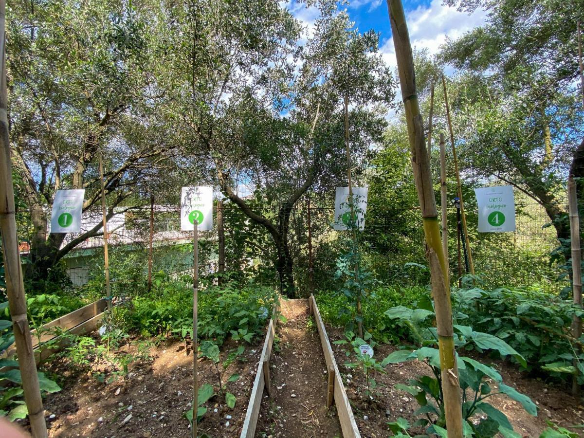Tenuta Dei Normanni Salerno Buitenkant foto